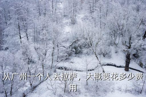 從廣州一個人去拉薩，大概要花多少費用