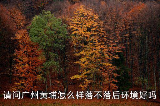 廣州黃埔廣州五院怎么樣,請問廣州黃埔怎么樣