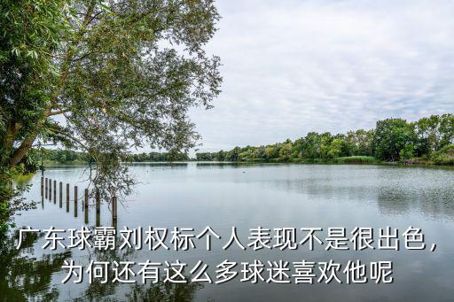 廣東籃球劉權標哪里人,廣東小將劉權標人氣爆棚