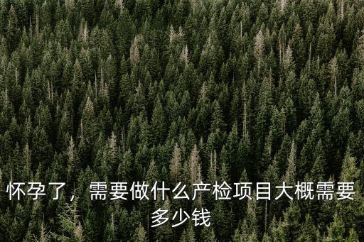 懷孕了，需要做什么產檢項目大概需要多少錢