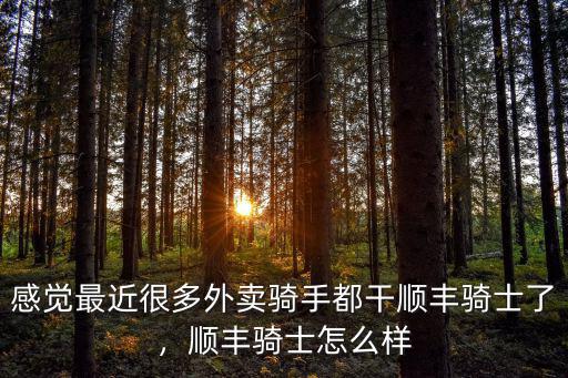 感覺最近很多外賣騎手都干順豐騎士了，順豐騎士怎么樣