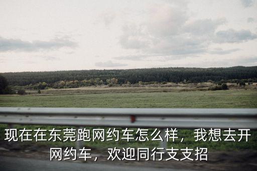現在在東莞跑網約車怎么樣，我想去開網約車，歡迎同行支支招