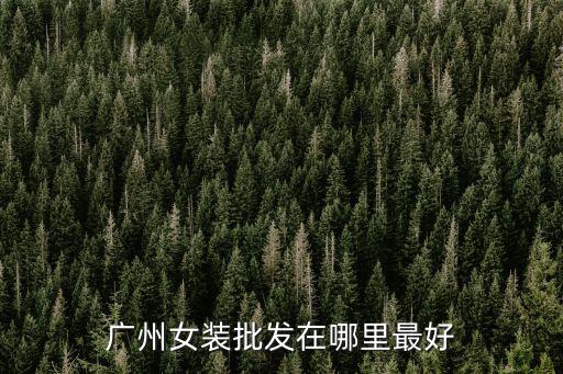 m93女裝是廣州哪里的,廣州女裝批發(fā)在哪里最好
