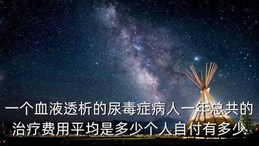 一個血液透析的尿毒癥病人一年總共的治療費用平均是多少個人自付有多少