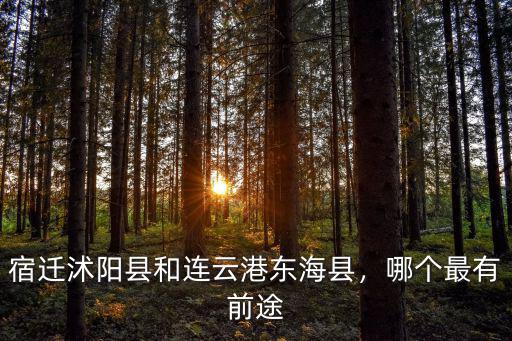 江蘇省沭陽縣考多少個清華和北大,考到清華和北大有多難