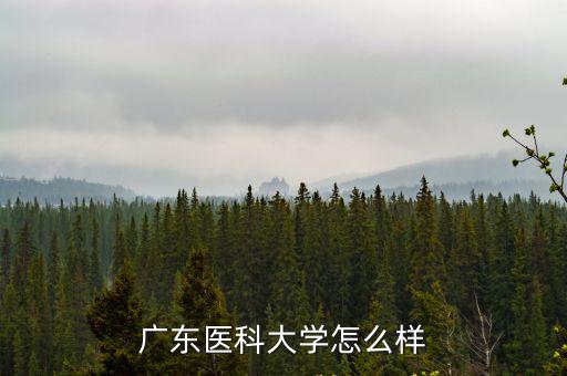 怎么樣才能考上廣東醫科大學,廣東醫科大學怎么樣