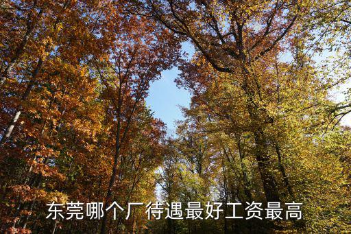 東莞長安tdk電子廠工資怎么樣,東莞日華電子廠怎么樣