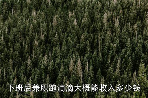 蘇州開滴滴賺多少錢一個(gè)月,新手一個(gè)月能賺多少錢