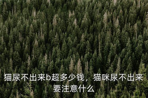 小貓做b超南京多少錢,貓尿不出來b超多少錢