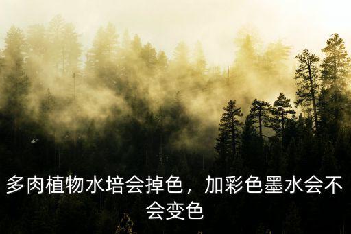 多肉植物水培會掉色，加彩色墨水會不會變色