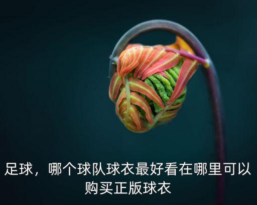足球，哪個(gè)球隊(duì)球衣最好看在哪里可以購(gòu)買(mǎi)正版球衣