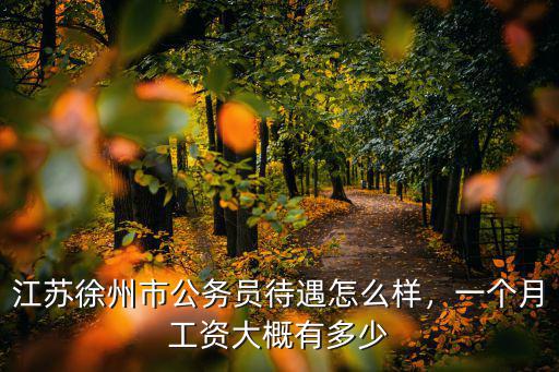 江蘇徐州市公務員待遇怎么樣，一個月工資大概有多少