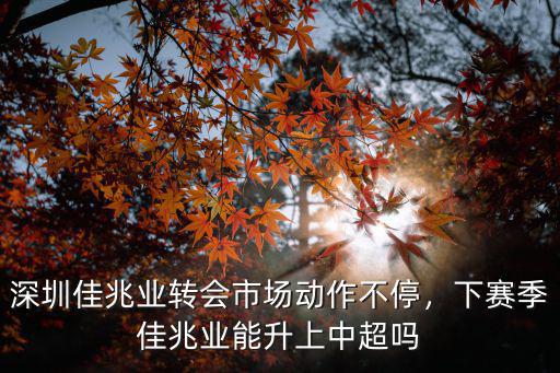 深圳佳兆業轉會市場動作不停，下賽季佳兆業能升上中超嗎