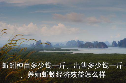 蚯蚓種苗多少錢一斤，出售多少錢一斤，養(yǎng)殖蚯蚓經(jīng)濟(jì)效益怎么樣