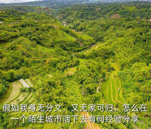 一個人在廣州怎么活下去,怎么在一個陌生城市活下去