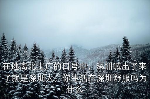 深圳真實生活怎么樣,你在深圳過得怎么樣