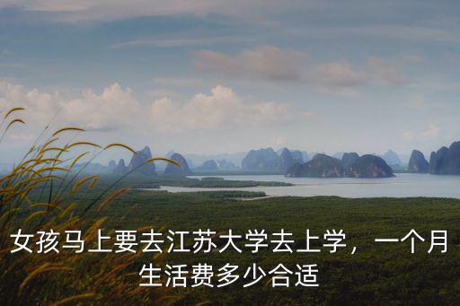 常州上大學一個月生活費多少,爸爸一個月工資三千