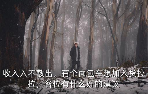 收入入不敷出，有個面包車想加入貨拉拉，各位有什么好的建議