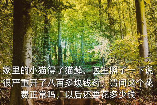 無錫流浪貓全身體檢需要花多少錢,以后還要花多少錢