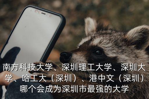 南方科技大學(xué)、深圳理工大學(xué)、深圳大學(xué)、哈工大（深圳）、港中文（深圳）哪個(gè)會(huì)成為深圳市最強(qiáng)的大學(xué)