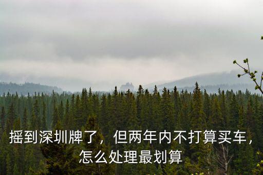 在供車輛搖到深圳牌要怎么處理,搖到深圳牌了