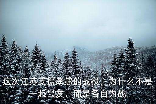 這次江蘇支援孝感的戰役，為什么不是一起出發，而是各自為戰