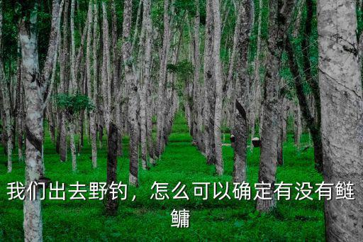韶關鰱鳙怎么找釣位,釣鰱鳙怎么找魚層