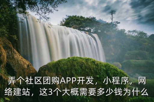 弄個社區團購APP開發，小程序，網絡建站，這3個大概需要多少錢為什么