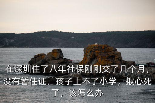 深圳孩子上小學沒有學上怎么辦,孩子上不了小學