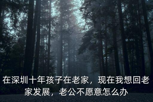 深圳人不愿意買房怎么辦,老公不愿意怎么辦