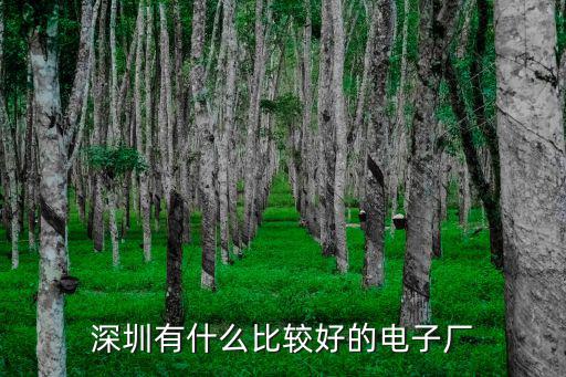 深圳2019年電子廠工資怎么樣,工資待遇怎么樣