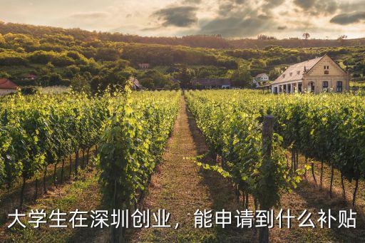 深圳學生補貼怎么辦理,大學生在深圳創業