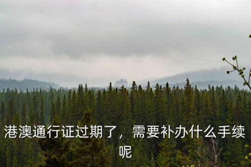 港澳通行證過期了，需要補辦什么手續呢