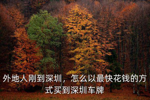 外地人剛到深圳，怎么以最快花錢的方式買到深圳車牌