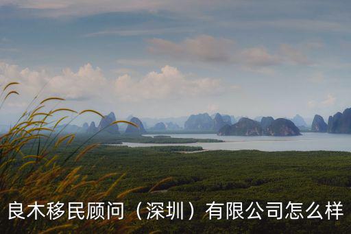 深圳市財富企業顧問有限公司怎么樣,良木移民顧問