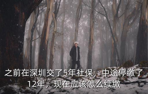 深圳社保斷交怎么繼續(xù)交,之前在深圳交了5年社保