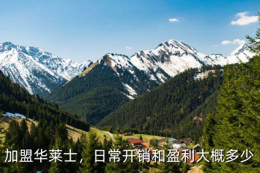 加盟華萊士，日常開銷和盈利大概多少