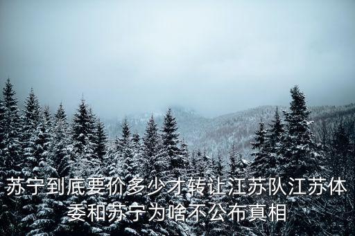 蘇寧江蘇投入多少,江蘇蘇寧為何在巨虧情況下