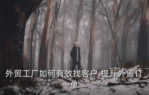 外貿(mào)工廠如何有效找客戶,提升外貿(mào)訂單