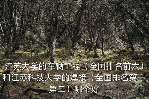 江蘇科技大學焊接研究生月薪多少,和江蘇科技大學的焊接