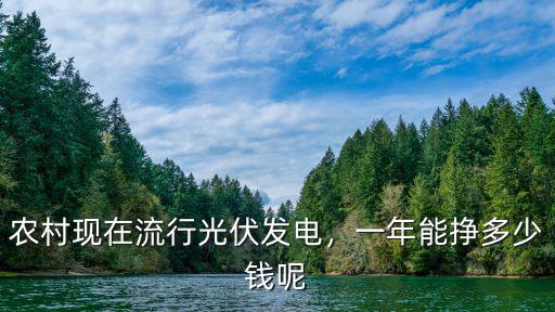 農村現在流行光伏發電，一年能掙多少錢呢