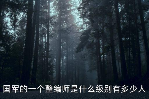 國軍江蘇人部隊有多少,國軍的一個整編師是什么級別
