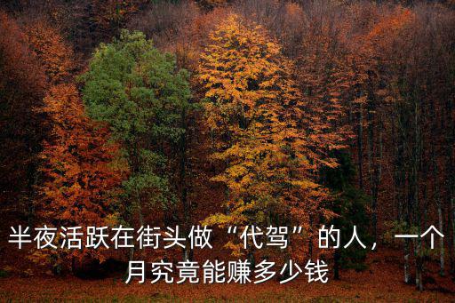 在蘇州干e代駕一個月能拿多少,一個月究竟能賺多少錢