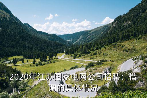 2020年江蘇國家電網公司招聘：借調的具體情況