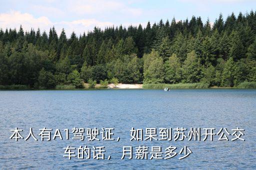 本人有A1駕駛證，如果到蘇州開公交車的話，月薪是多少