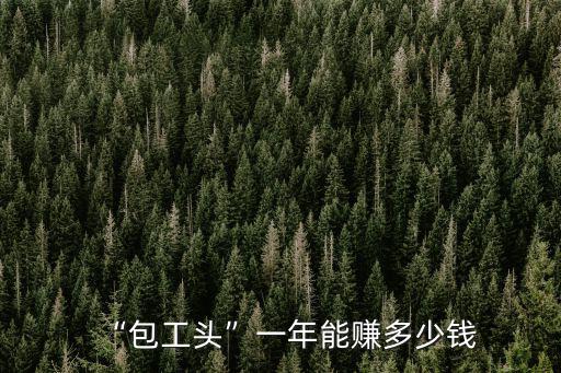 “包工頭”一年能賺多少錢