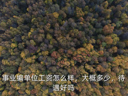 南京事業單位工資一般多少,南京事業單位待遇怎么樣