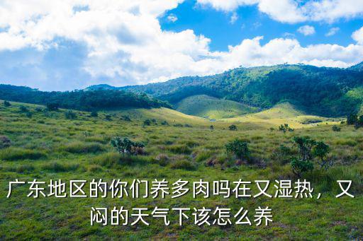 廣東濕熱天氣怎么養(yǎng)生,在廣州生活應(yīng)該怎么養(yǎng)生