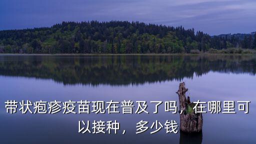 南通打帶狀皰疹多少錢,上海打皰疹疫苗多少錢