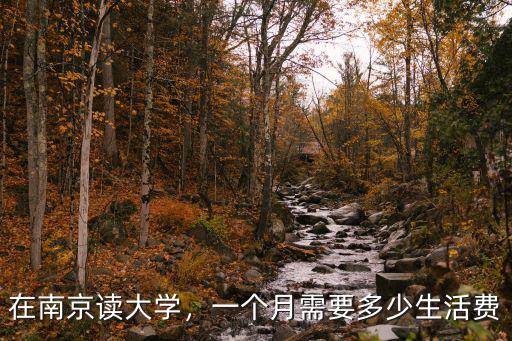 南京大學生每個月的生活費是多少,一個月需要多少生活費